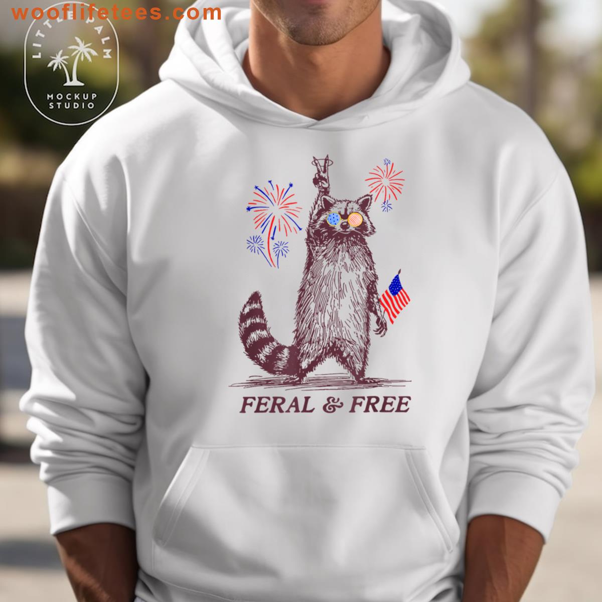 4th July Celebration T-shirt
