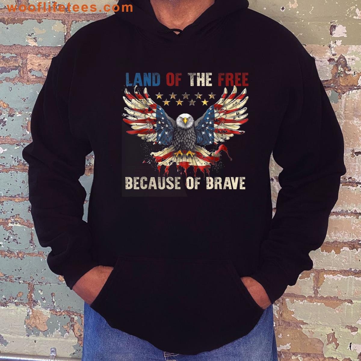 America Eagle Patriotic T-shirt