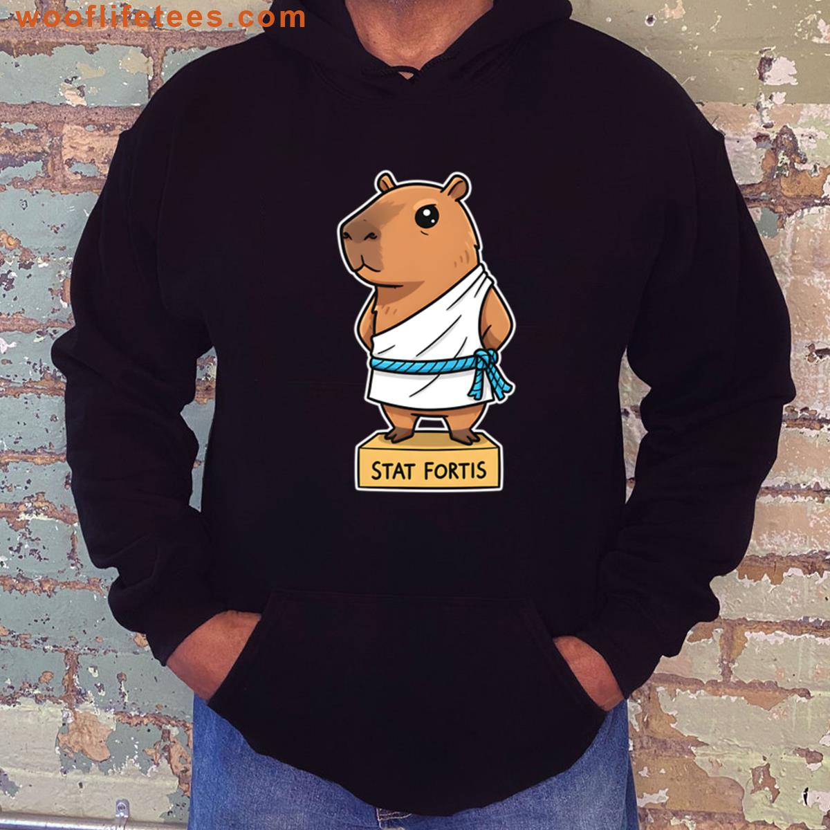 Capybara Philosophized Design T-shirt