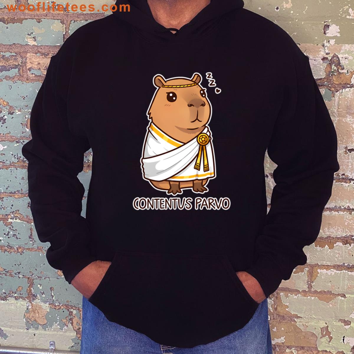 Capybara Thoughtful Toga Design T-shirt
