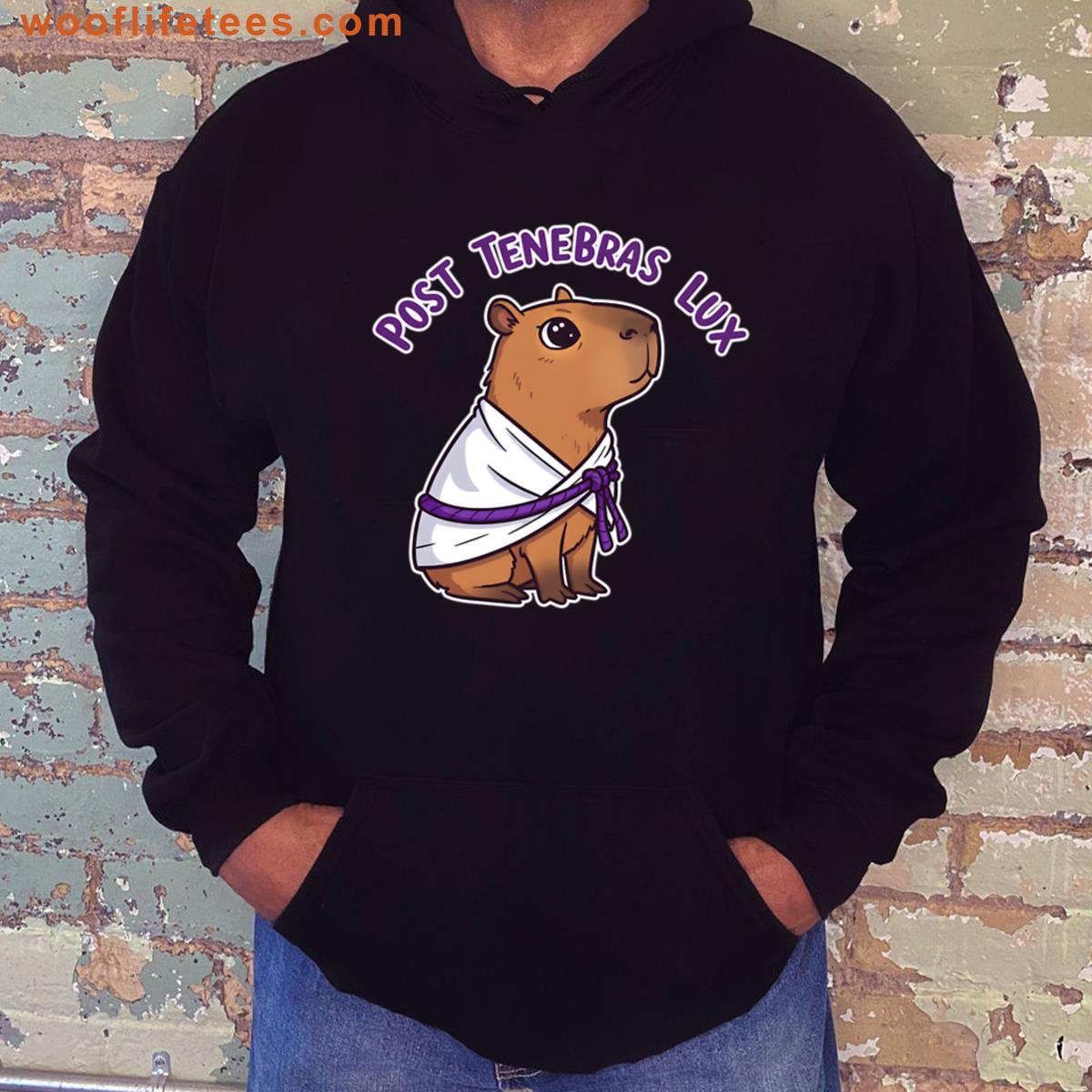 Capybara Toga Sunrise View T-shirt