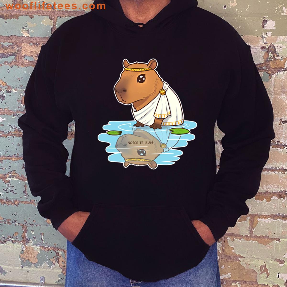Capybara Toga Water Reflection T-shirt
