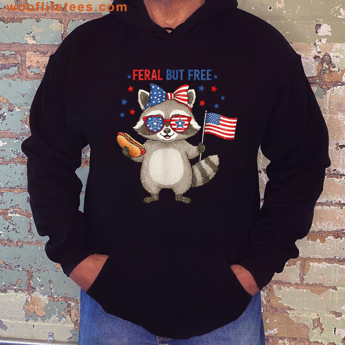 Funny Raccoon Coquette Design 4th Of July T-shirt