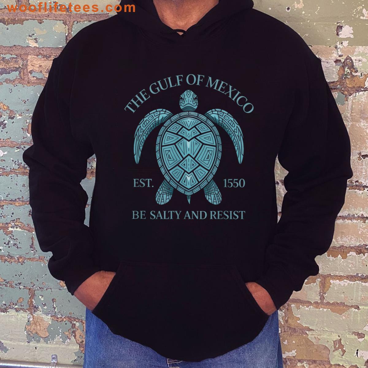 Gulf Of Mexico Turtle T-shirt