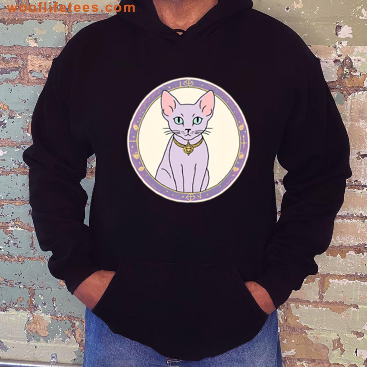 Hairless Cat Design T-shirt