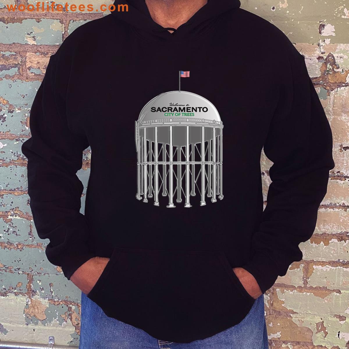 Sacramento City Of Trees Oversized T-shirt