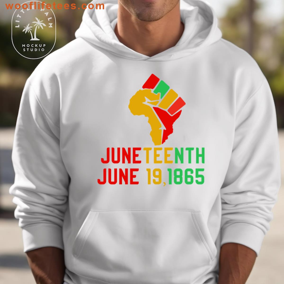 Freedoms Echo Juneteenth Reflections T-shirt