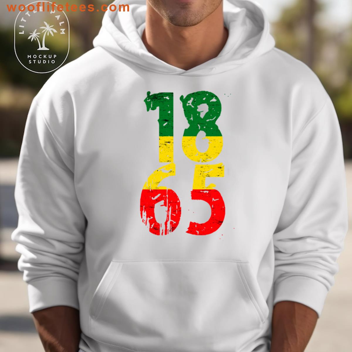 Juneteenth 1865 Grunge T-shirt
