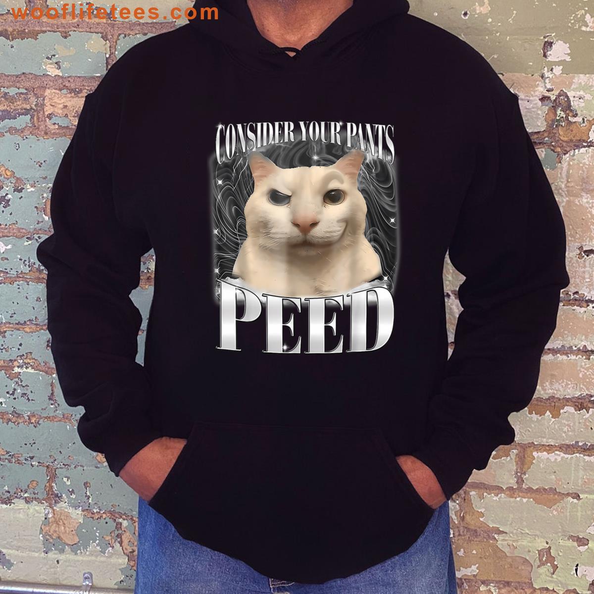 Cute Silly Cat Meme Consider Your Pants Peed Cats Humor T-shirt