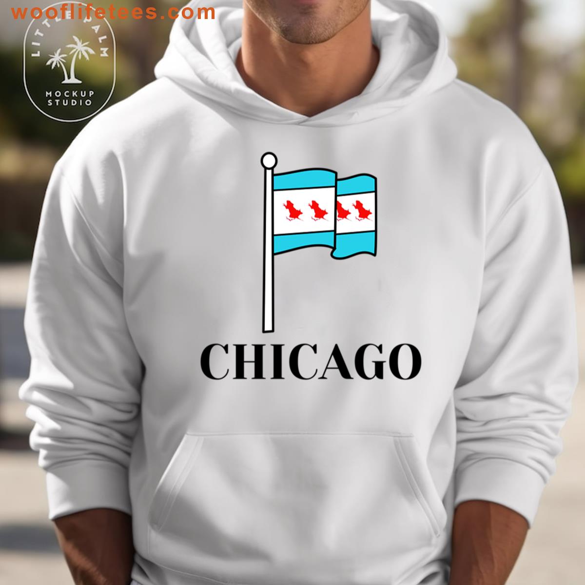Famous Chicago Rat Hole Chicago Flag T-shirt