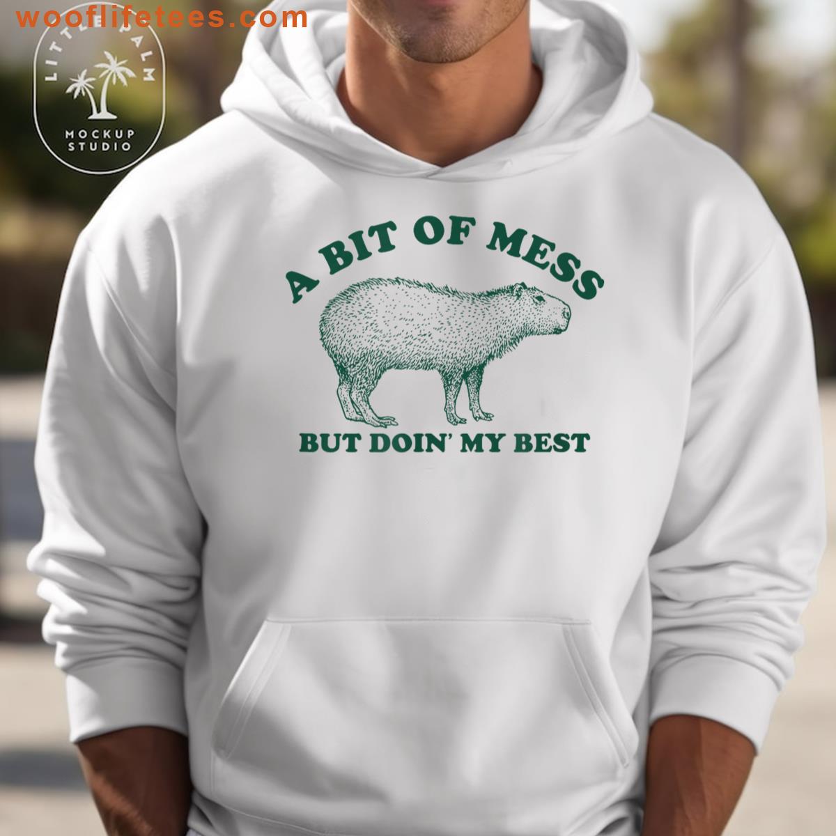 Funny Bit Of A Mess Capybara Meme Graphic For Women T-shirt