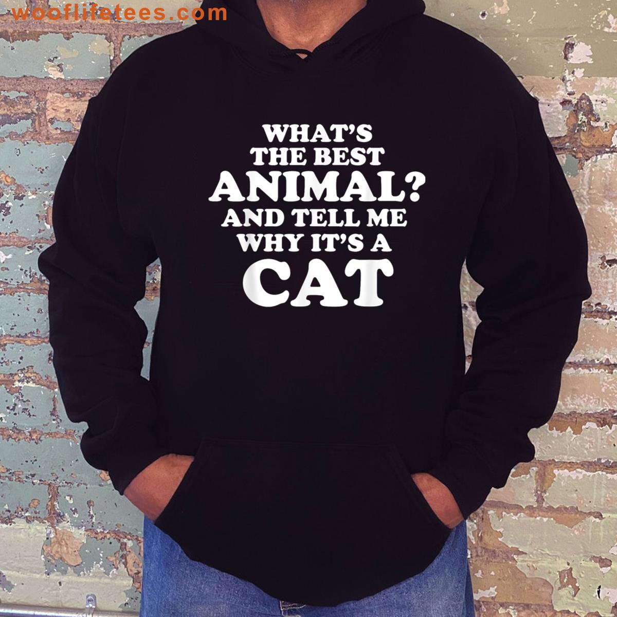 Funny Cat Saying Hilarious Cat Joke T-shirt