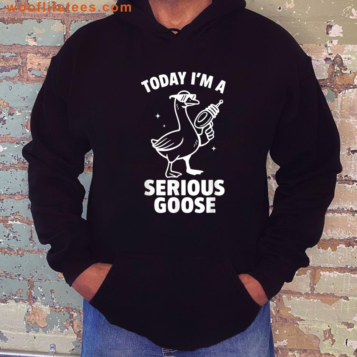 Funny Serious Goose Meme Today Im A Goose Joke Saying T-shirt