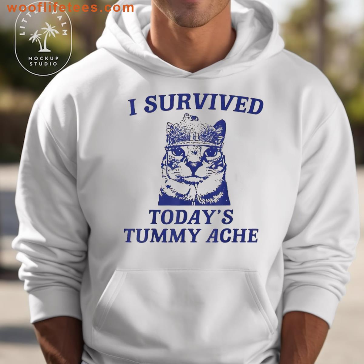 I Survived Todays Tummy Ache Funny Cat T-shirt